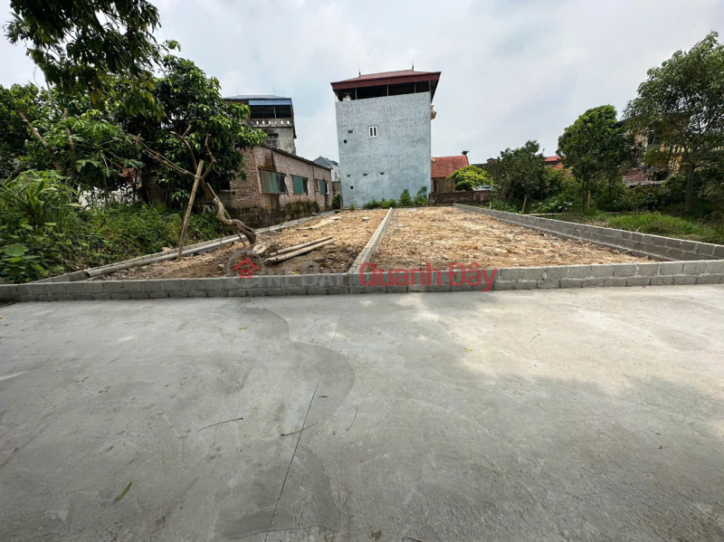 Owner sells land in Tan Tien, 122m frontage, 5.5m car road, investment price Sales Listings