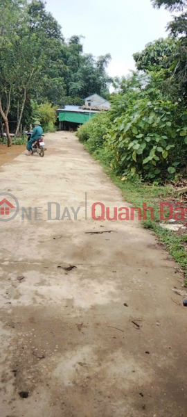 Property Search Vietnam | OneDay | Residential Sales Listings | OWNER SELLS BEAUTIFUL LAND LOT OF 2920.3M IN TU SON-KIM BOI HOA BINH