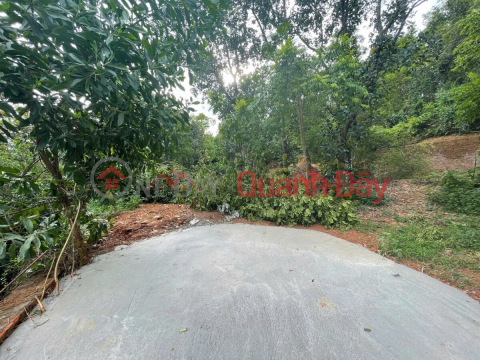 BÁN LÔ ĐẤT NGHỈ DƯỠNG 1267M TẠI TIÊN PHƯƠNG-PHƯỜNG CHƯƠNG MỸ-HÀ NỘI _0