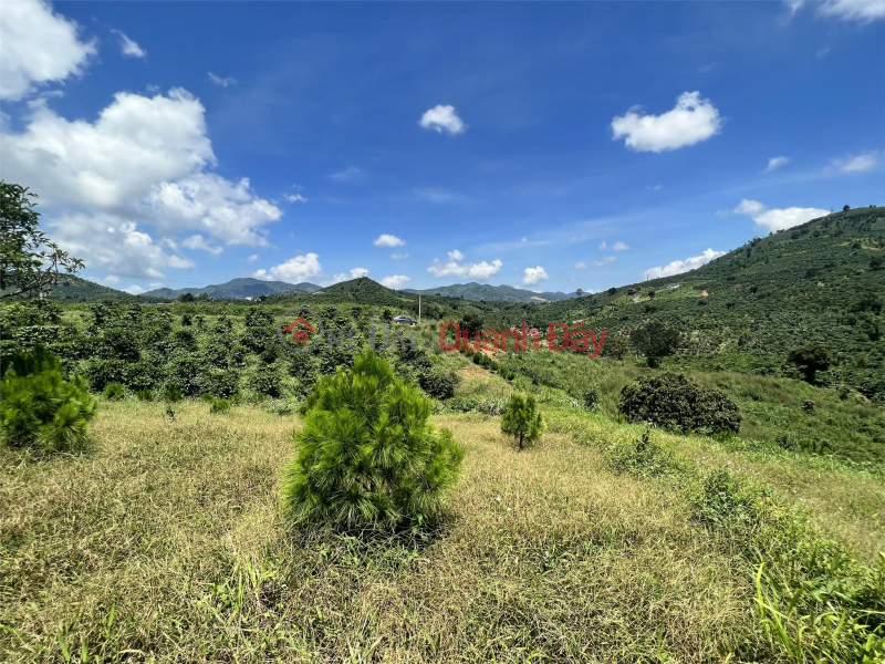 đ 1.9 Billion, Beautiful Land - Good Price - Owner Needs to Sell Land Lot in Beautiful Location in Dai Lao Commune, Bao Loc Lam Dong
