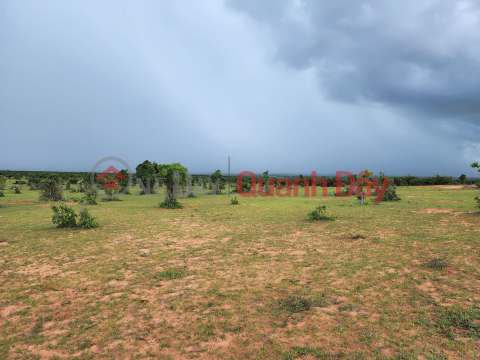 4 acres of land in Hong Thai area, price only 60 million/sao _0