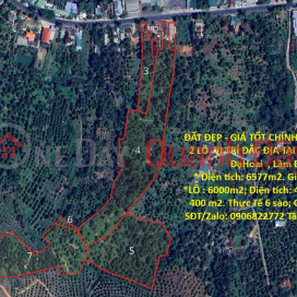PRIME LAND FOR SALE - OWNER NEEDS TO SELL 2 PLOTS IN A STRATEGIC LOCATION IN PHUOC LOC COMMUNE, DA HOAI DISTRICT, LAM DONG PROVINCE _0