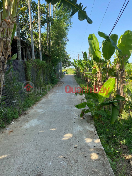 Property Search Vietnam | OneDay | , Niêm yết bán, Bán đất cách UBND xã Điện hồng 5p (7x18) giá chỉ 512 triệu