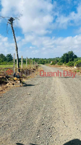 Beautiful Land - Good Price - Owner Needs to Sell Land Lot, Beautiful Location, Ea Drong Buon Ho Commune, Dak Lak | Vietnam Sales đ 260 Million