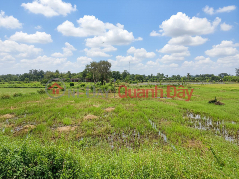 Giảm 100tr! Đất SHR HXH 246m2, Nở hậu – Trần Thị Năm Q12 SS _0