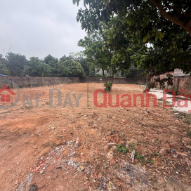 CHÍNH CHỦ bán đất tiềm năng - Thắng Hữu, Kim Anh, Hà Nội - Cơ hội đầu tư không thể bỏ lỡ _0