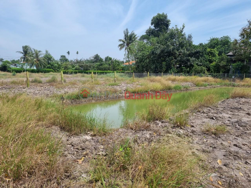 Property Search Vietnam | OneDay | Residential Sales Listings OWNER SELLS 2 frontage land lot, car road, at Phu Xuan 2 hamlet, Phu Ngai Tri commune, Chau Thanh