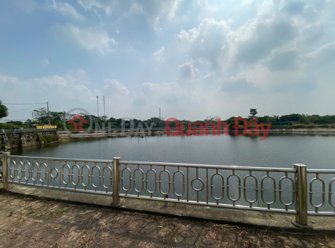 Owner selling auctioned land in Hung Dao commune, Hanoi - 85.2m2, next to a regulating lake, near Ring Road 4. _0