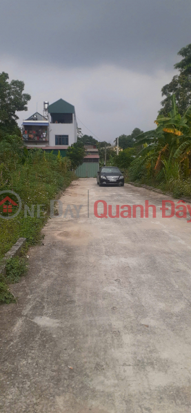 QUICK SALE this week - OWNER'S LAND, 2 street frontages, right at Hoa Lac high-tech industrial park - Thach That, Hanoi Sales Listings