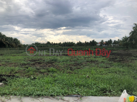 GARDEN LAND FOR SALE BY OWNER At Road DT878, Tan Hoa Thanh Commune, Tan Phuoc District, Tien Giang _0