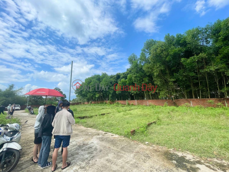 Property Search Vietnam | OneDay | , Sales Listings | 100m from National Highway, there is lot 12 across and can be divided into 2 beautiful square lots, support price is only 550 million