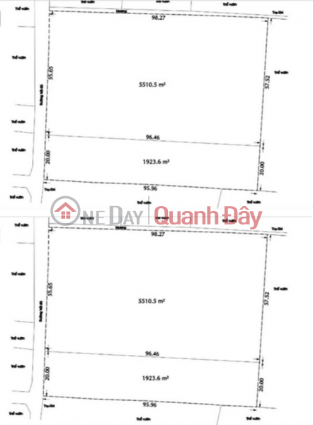 BEAUTIFUL LAND - GOOD PRICE - Need to Sell Quickly Land Lot in Prime Location in Phuoc Thanh, Cu Chi, Ho Chi Minh City | Vietnam | Sales, đ 5.9 Billion