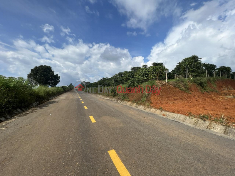 OWNER FOR SALE 3 ADJUSTABLE LOT OF LAND AT Nguyen Tri Phuong extension, Loc Tien Ward, Bao Loc City, Lam Dong Sales Listings