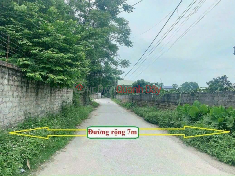 Property Search Vietnam | OneDay | Nhà ở Niêm yết bán | Chính chủ gửi bán 508m2, mt 12m, tại Tân Tiến, Chương Mỹ, Hà Nội, ô tô tránh, ngõ thông, chia lô, nghỉ dưỡng