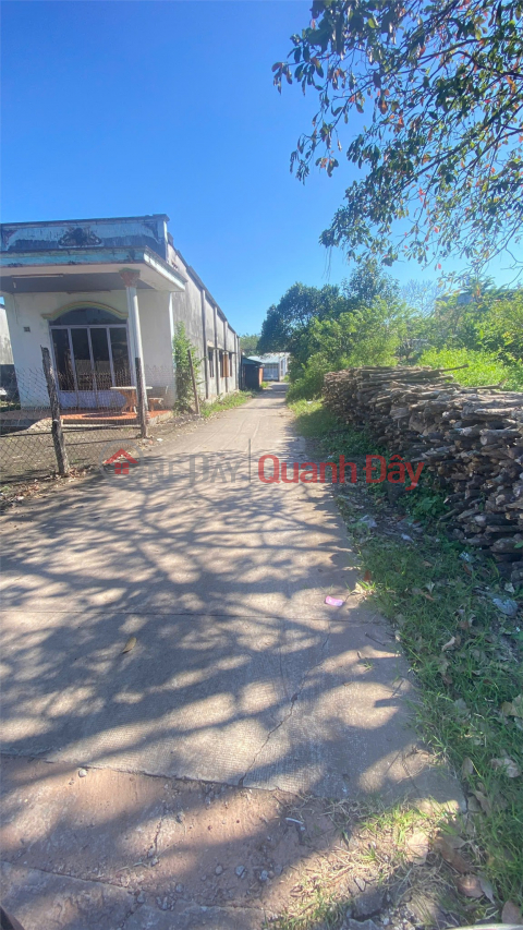 BEAUTIFUL LAND - INVESTMENT PRICE - LAND FOR SALE in Tan Long Commune, Phu Giao District, Binh Duong Province _0