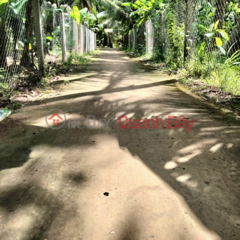 BEAUTIFUL LAND - GOOD PRICE - Land Lot For Sale In Phong Nam Commune, Giong Trom District, Ben Tre _0