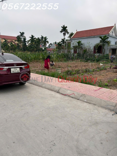 Bán đất nhà vườn mặt đường trục thôn Kính Trực, Tân Phong chỉ 1,9xx tỷ - ZALO 0567 222 555 Việt Nam Bán đ 1,98 tỷ