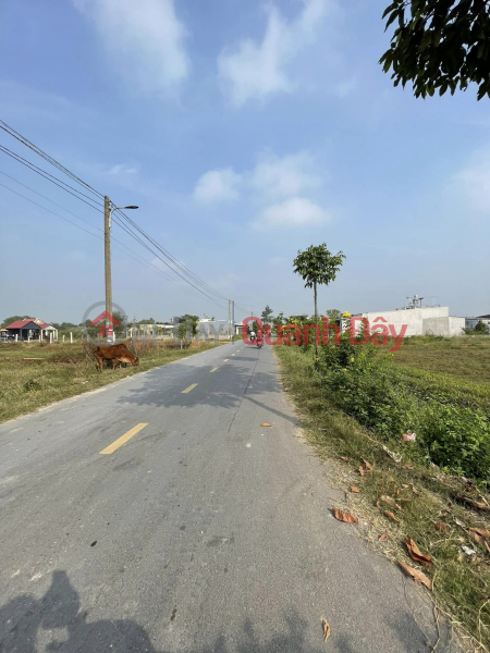 đ 2.2 Billion Owner Urgently Needs to Sell Land Plot, Provincial Road 9, My Hanh Bac, Long An