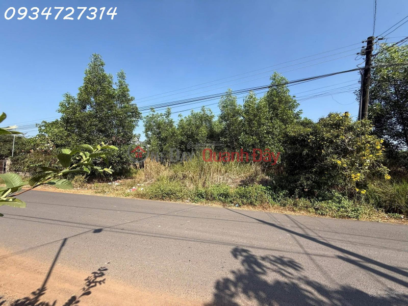 Property Search Vietnam | OneDay | Nhà ở Niêm yết bán Bán đất giá siêu hời tại Phước Tân - Giang Điền, 6,5 tỷ, 2118 m2