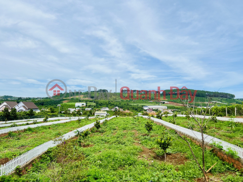 Liquidation of the last plot of land planned by Me Linh in Da Lat City is only 860 million _0