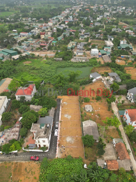 Property Search Vietnam | OneDay | Residential, Sales Listings, Own land in Phu Cat for just 2 billion VND - Car access right to your door - Close to the city center - Convenient amenities nearby - Affordable price