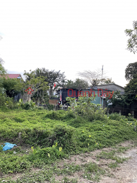 OWNER NEEDS TO SELL LAND Vietnam | Sales, ₫ 950 Million