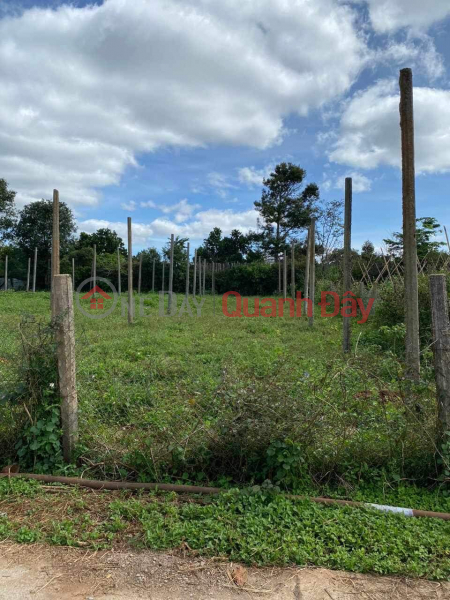 POTENTIAL, SUPER CHEAP LAND LOT FOR SALE IN TIEN SON AREA - SEA AND LAKE - PLIEKU Sales Listings