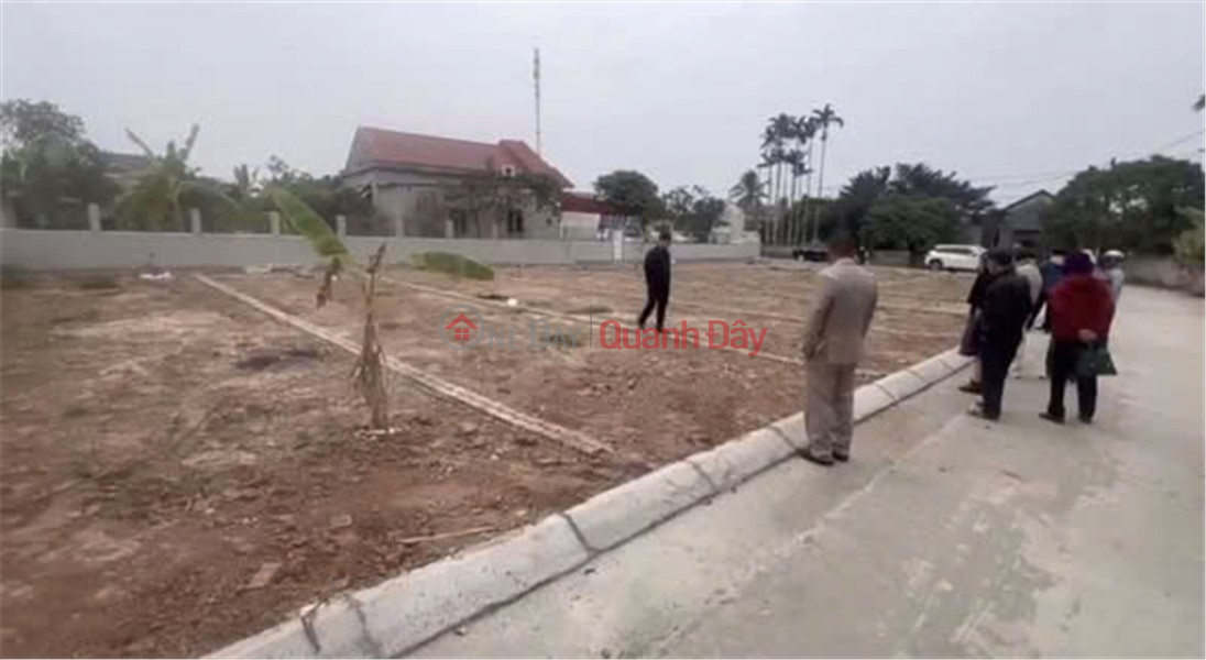 PRIME LAND – GOOD PRICE - OWNER NEEDS TO SELL A PLOT OF LAND IN QUAN TRANG, BATT TRANG, AN LAO, HAI PHONG CITY Sales Listings