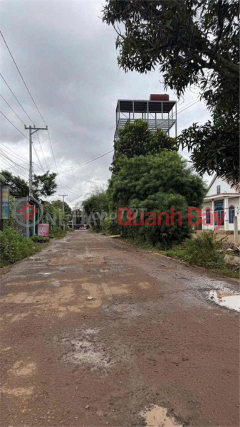 OWNER SELLING PLOT OF LAND WITH FRONTAGE ON NATIONAL HIGHWAY 20, Phu Hoi Commune, Duc Trong District, Lam Dong Province Vietnam Sales | đ 1.6 Billion