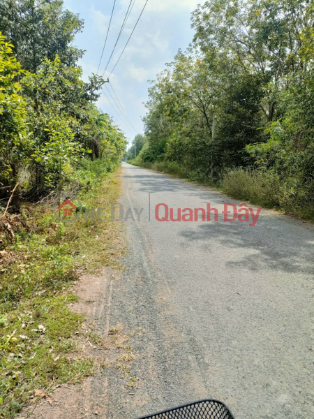 Cut a loss of 200 million to sell the durian garden being harvested in Chon Thanh Sales Listings