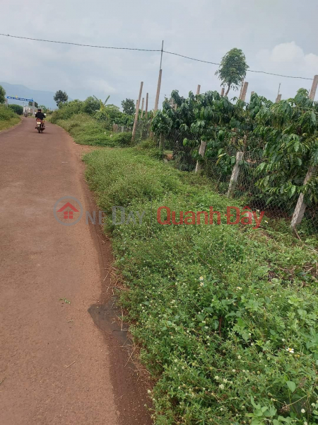 GUARANTEED Beautiful Land Lot For Sale In H' Neng Commune, Dak Doa District, Gia Lai Province | Vietnam Sales đ 800 Million