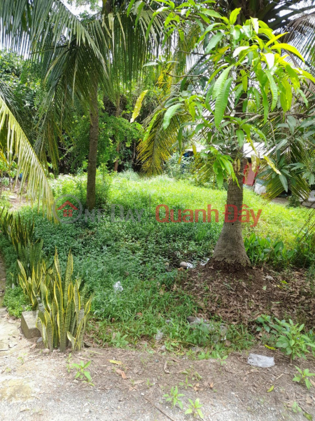 Property Search Vietnam | OneDay | | Sales Listings Urgent need to go out, Alley 222, Vo Van Kiet, Ward 7, Soc Trang. Area: 5m wide × 20m long (Earth 50m2)