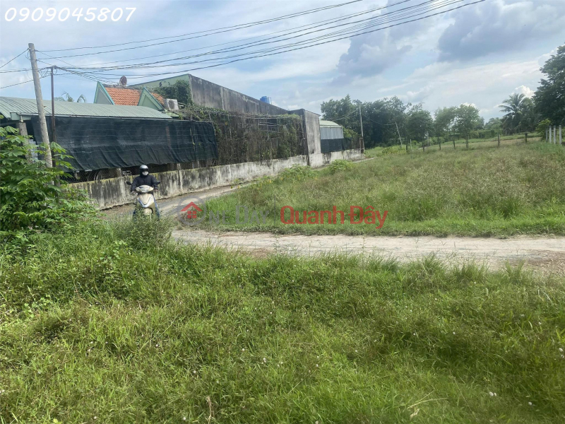 Chính chủ bán gấp 360m2 đất thổ cư 100% Đức Hòa giá 1,55 tỷ có phí hh cho môi giới Niêm yết bán