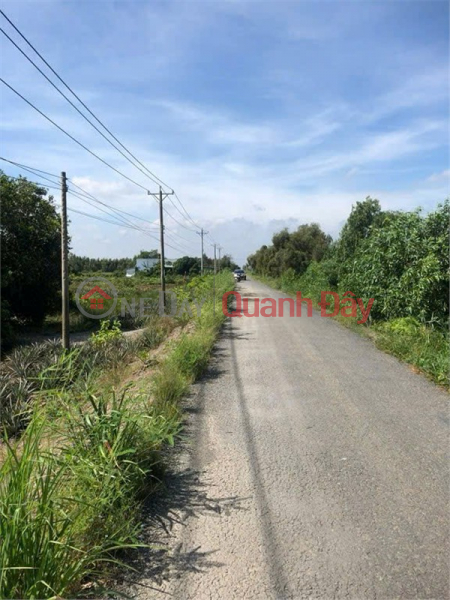 BEAUTIFUL LAND - GOOD PRICE, QUICK SALE needed. Street-front land in prime location in Tan Phuoc district, Tien Giang province. | Vietnam, Sales, đ 5 Billion