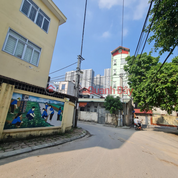 Land for sale in Trau Quy, Gia Lam, Hanoi. 65m2. Late blooming, 4m road. Contact 0989894845 | Vietnam Sales, đ 4.8 Billion