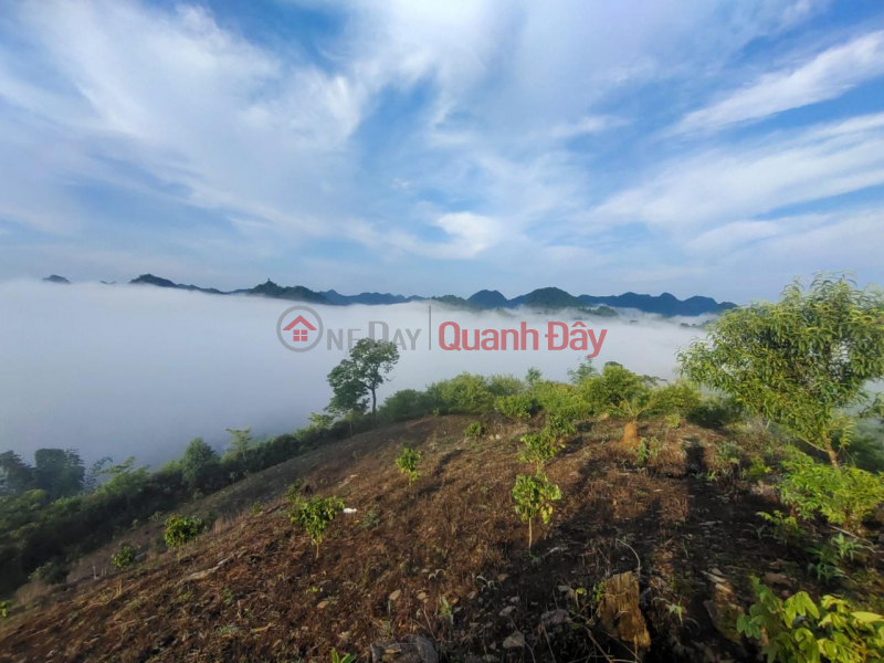 Property Search Vietnam | OneDay | Residential Sales Listings | FOR SALE Adjacent Land Lot Prime Location In Moc Chau, Son La