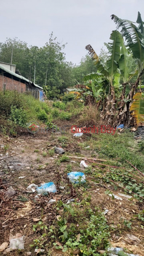 Own a SUPER BEAUTIFUL LAND LOT INVESTMENT PRICE In Tan Chau District, Tay Ninh _0