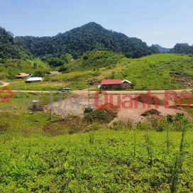 Investment land in Moc Chau, Ban Ta So - Large Land Fund, Attractive Selling Price, High Profit Potential _0