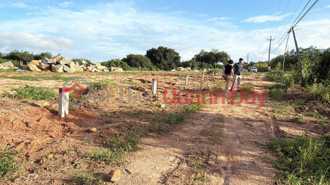 Land for sale, opposite Suoi Dau Industrial Cluster in Cam Tam, Khanh Hoa. 128m2, price 830 million VND, full residential land title. _0