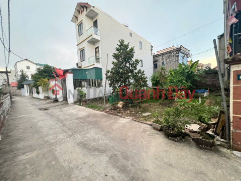 Land for sale in Co Duong, Tien Duong - 94.6m2 - Car alley - Near the edge _0