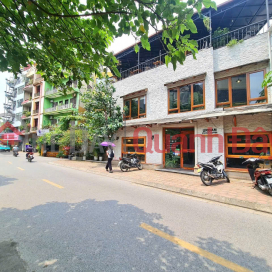 RARE STREET, EXTREMELY RARE HOUSES FOR SALE<br \/><br \/> A GIRL WHO LIVES ON PHAM NGOC THACH AND NGUYEN NGOC DOAN STREETS.. _0