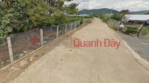 Land for sale, 115m2, An Hiep, Lien Hiep, Duc Trong, Lam Dong. Price: Only 900 million VND. _0