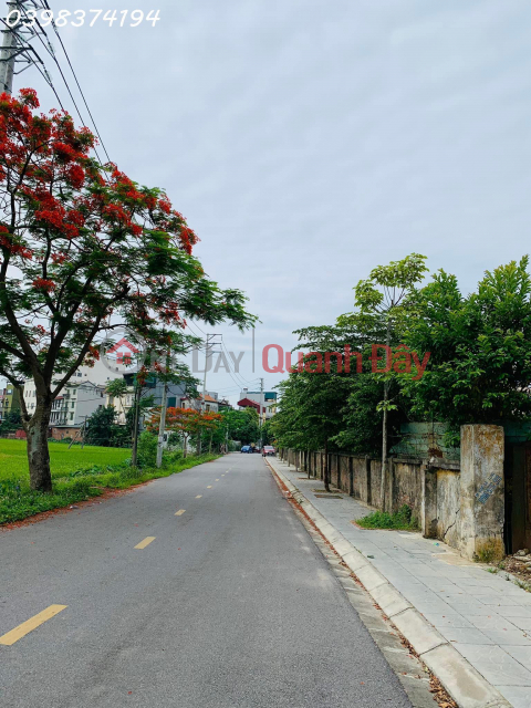 Co Duong, Tien Duong land next to the international school is quite beautiful and affordable _0