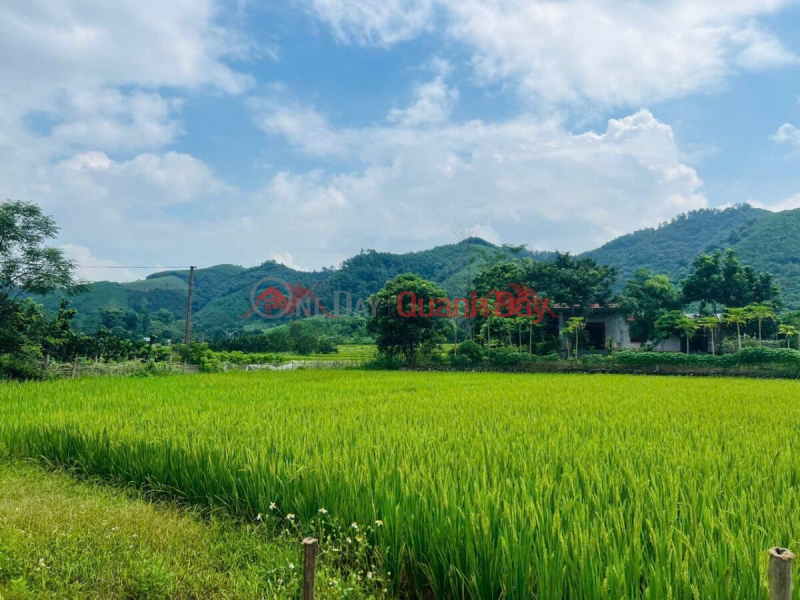 CHÍNH CHỦ CẦN BÁN LÔ ĐẤT 7614,3M TẠI KIM BÔI-HÒA BÌNH | Việt Nam Bán, đ 4,8 tỷ