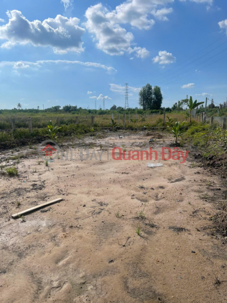 Property Search Vietnam | OneDay | Nhà ở, Niêm yết bán Bán 500m2 Đất Vườn Tại Đường ĐT816, Xã Bình Đức, Huyện Bến Lức, Long An