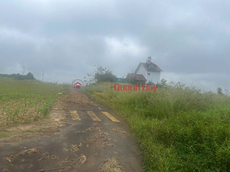 Property Search Vietnam | OneDay | Residential Sales Listings, HOT HOT - NEED TO SELL LAND LOT WITH 2 FRONTAGES - Loc Tien Ward, Bao Loc (soon to become Bao Loc Ward 3),Lam Dong