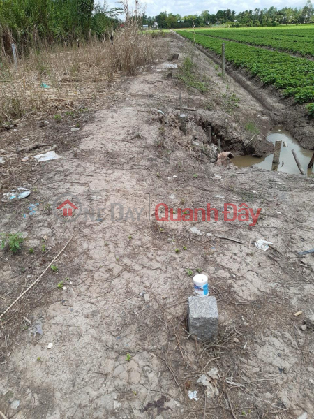 Own a Prime Land Lot in Phu Long Commune, Chau Thanh District, Dong Thap Sales Listings