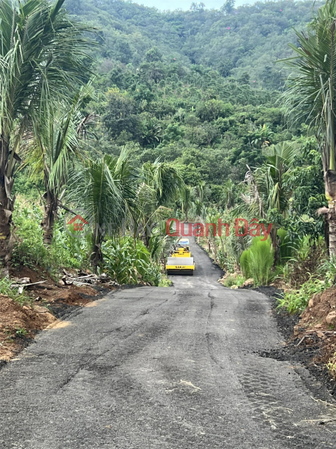 CHÍNH CHỦ CẦN BÁN NHANH Hơn 2 Ha View Đồi Suối Lớn Tại Cưjut-Đaknong. _0