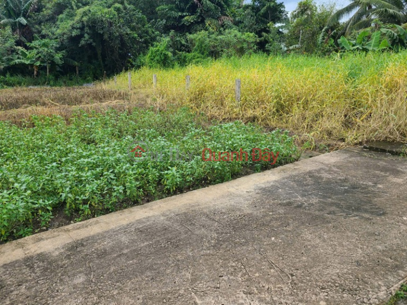 ĐẤT SIÊU ĐẸP - GIÁ TỐT - Bán GẤP Lô Đất Tiềm Năng Tại Long Khánh Xã Phước Hậu, Cần Giuộc Long An, Việt Nam | Bán, đ 1,1 tỷ