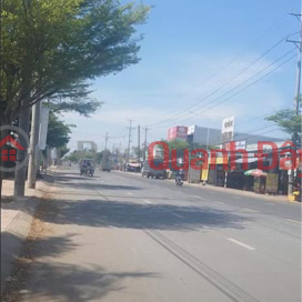 Residential Land for Sale, Frontage on Nguyen Sinh Sac, Sa Dec, 191m2, Good Price! _0